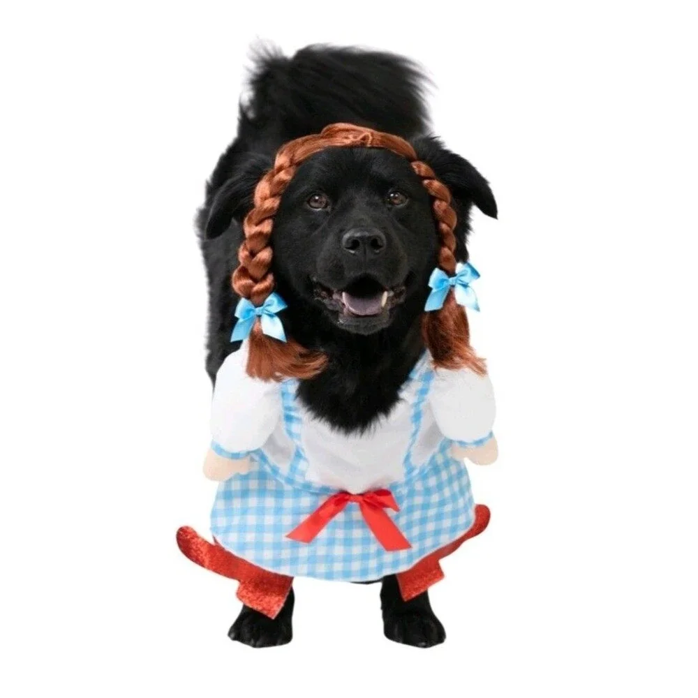 Halloween Large Pet Dog Cat Costume Dorothy Wicked Wizard of Oz Ruby Slippers